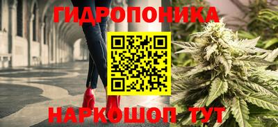 трава Нальчик
