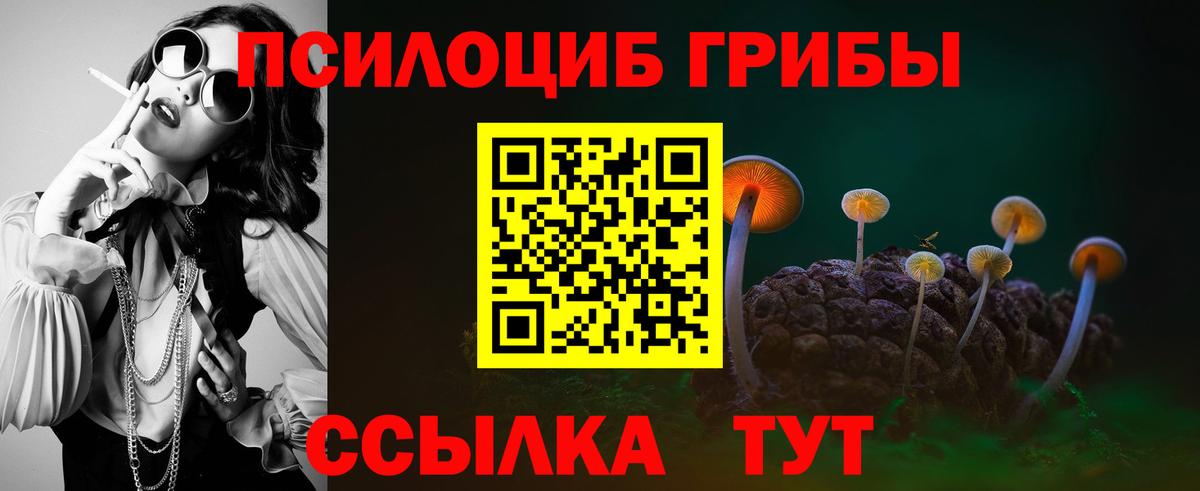 Галлюциногенные грибы Cubensis  Вход с VPN  Торжок 